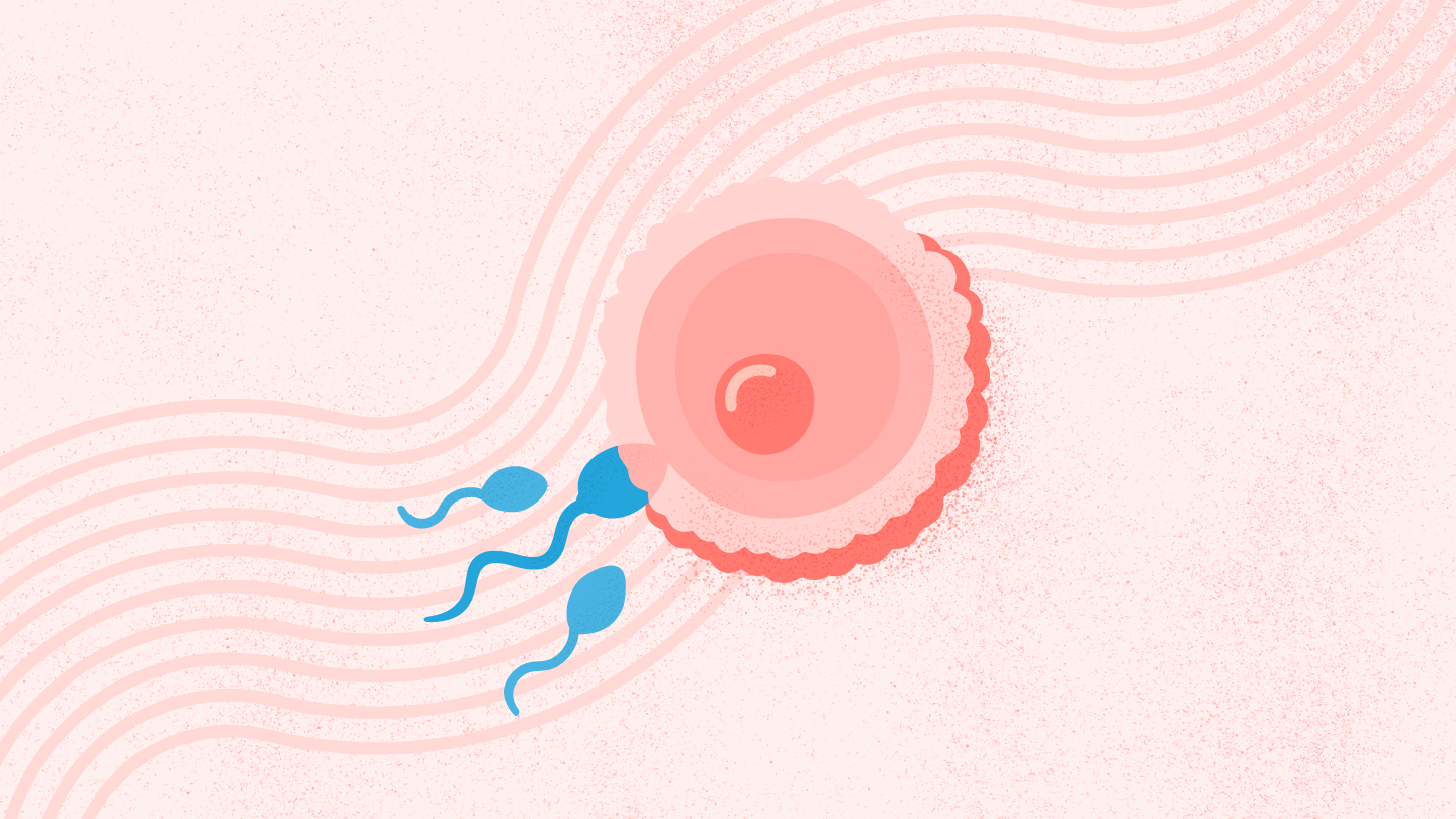 Fertility myths busted